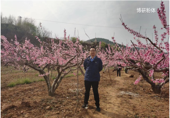 步履不停，共赴春光